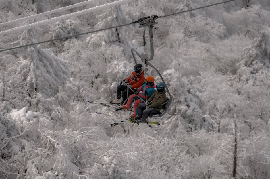 Four skiers ride a chairlift over a snowy, tree-covered landscape.