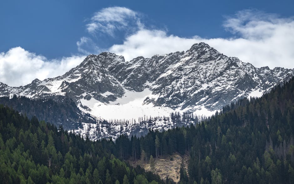 A snow-capped mountain range with rocky peaks rises above a dense forest under a partly cloudy sky.