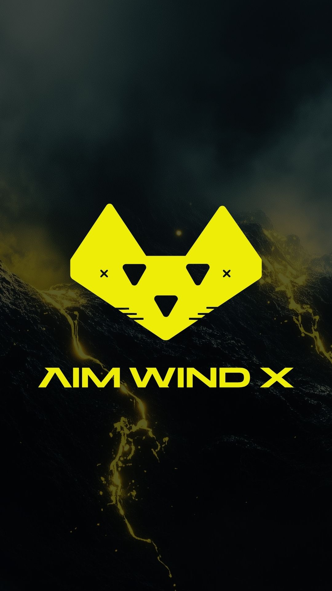 AIM WIND X