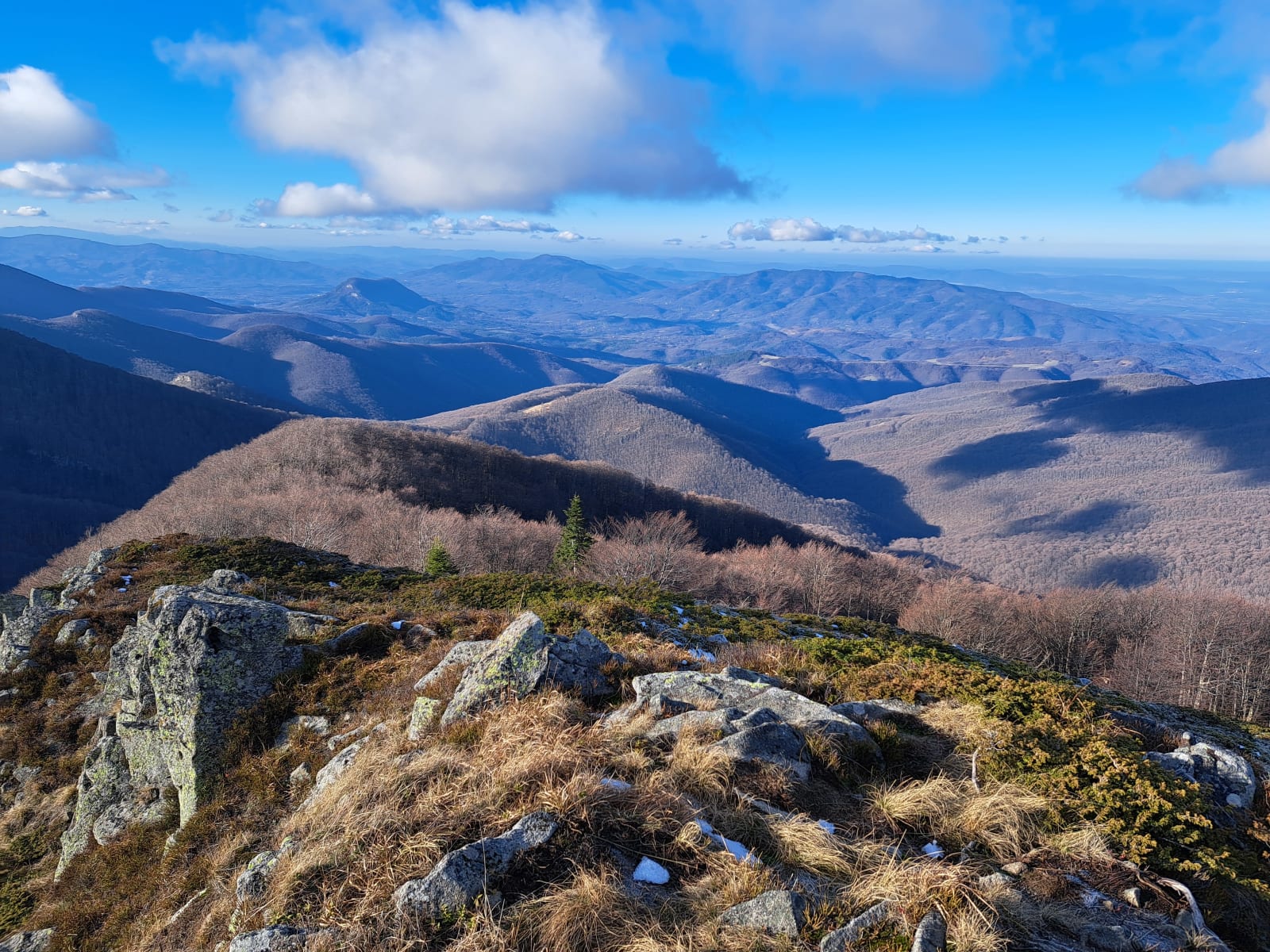 Панорама от връх Вълча глава