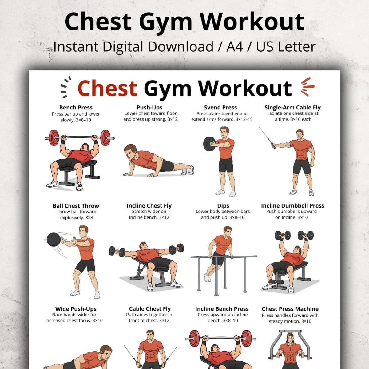 Chest gym workout poster for beginners, illustrating dumbbell and bench exercises like the bench press, incline press, and