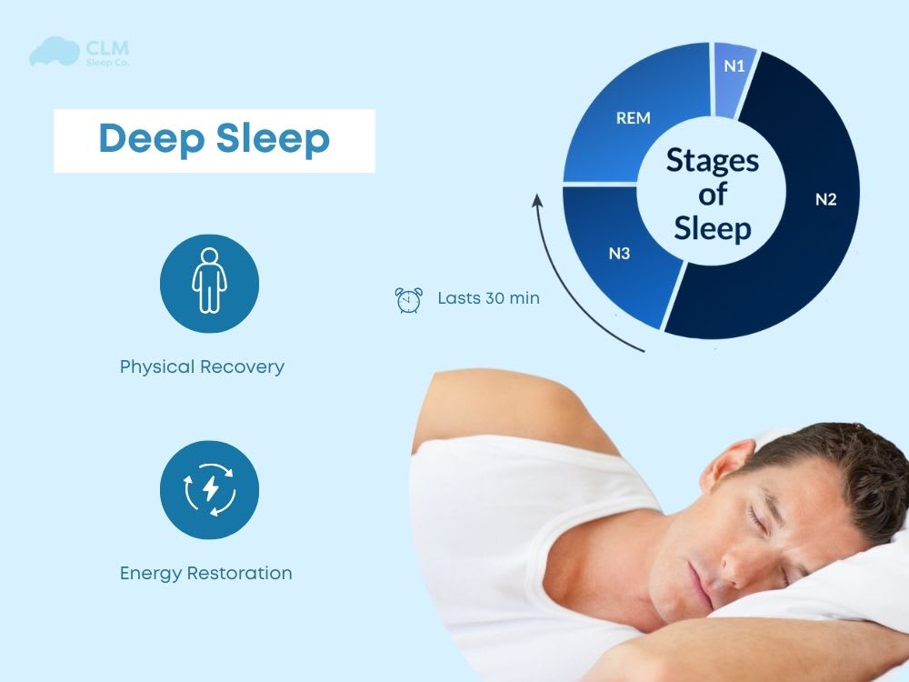 A circular diagram with colored segments shows the progression of sleep stages, from light to REM and restorative deep sleep.