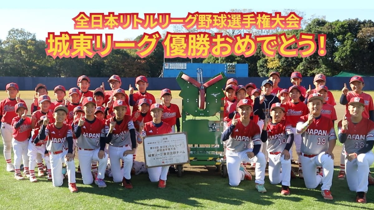 日本のリトルリーグ全国大会のトーナメント組み合わせ表。青い背景に各地域のチーム名が並び、頂点を目指す構造がわかる。