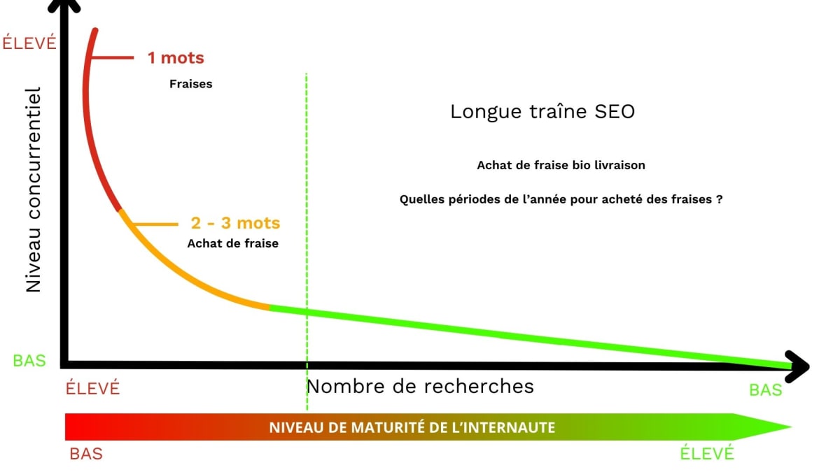 Schéma coloré expliquant le concept des mots-clés à longue traîne en SEO, de la tête à la queue de la courbe.