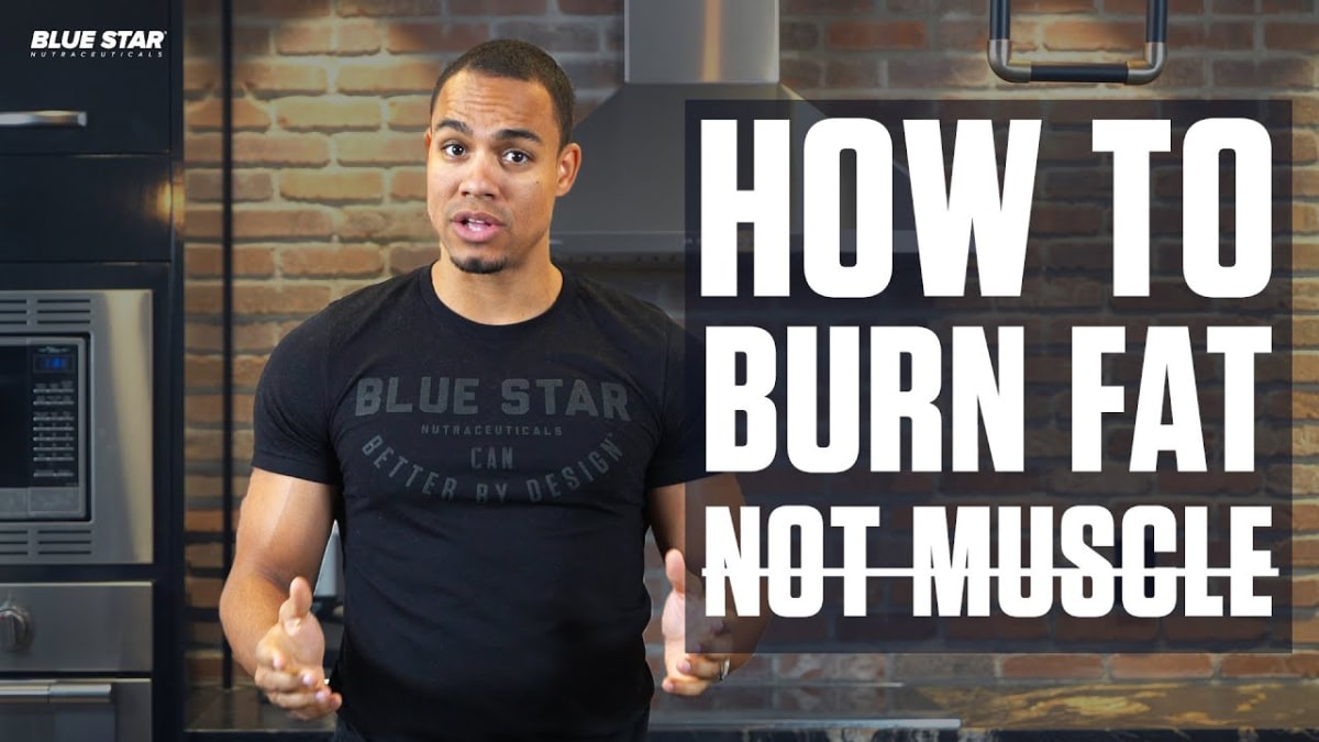 Dr. Gundermanns whiteboard chart shows how adding protein to a diet helps burn fat (red) while preserving muscle (blue).