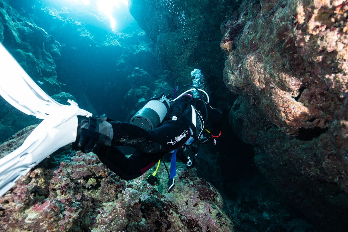 ダイビングライセンスの種類と取得の流れを示すチャート図。オープンウォーターからアドバンス、インストラクターへと続くステップを視覚的に解説。