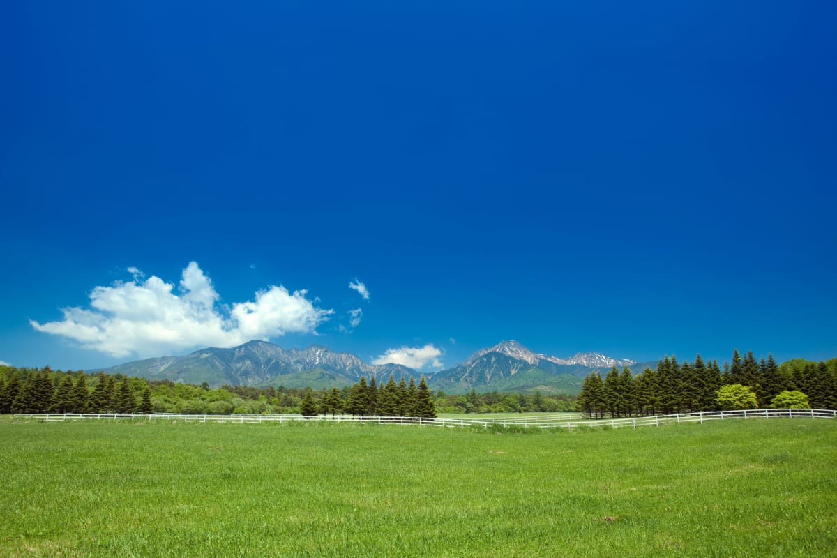 北杜市の観光スポット、明野のひまわり畑。夏の青空の下、黄色いひまわりが一面に咲き、背景に雄大な南アルプスが広がる。