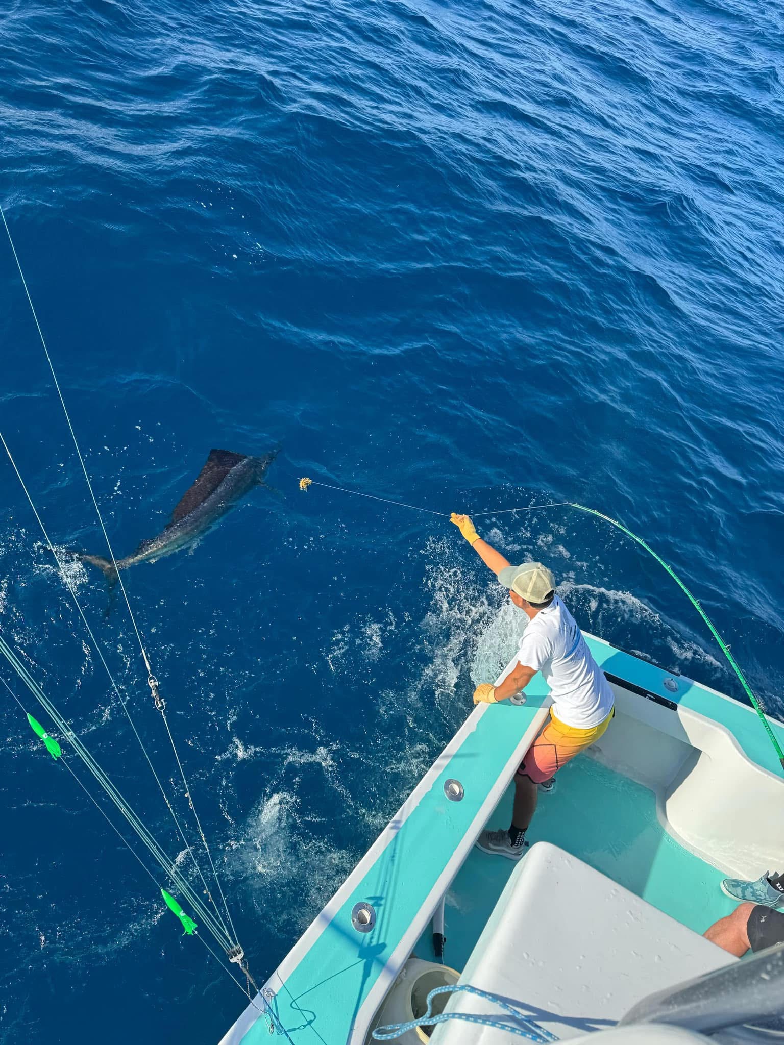 Pêche au Gros : Aventure en Haute Mer