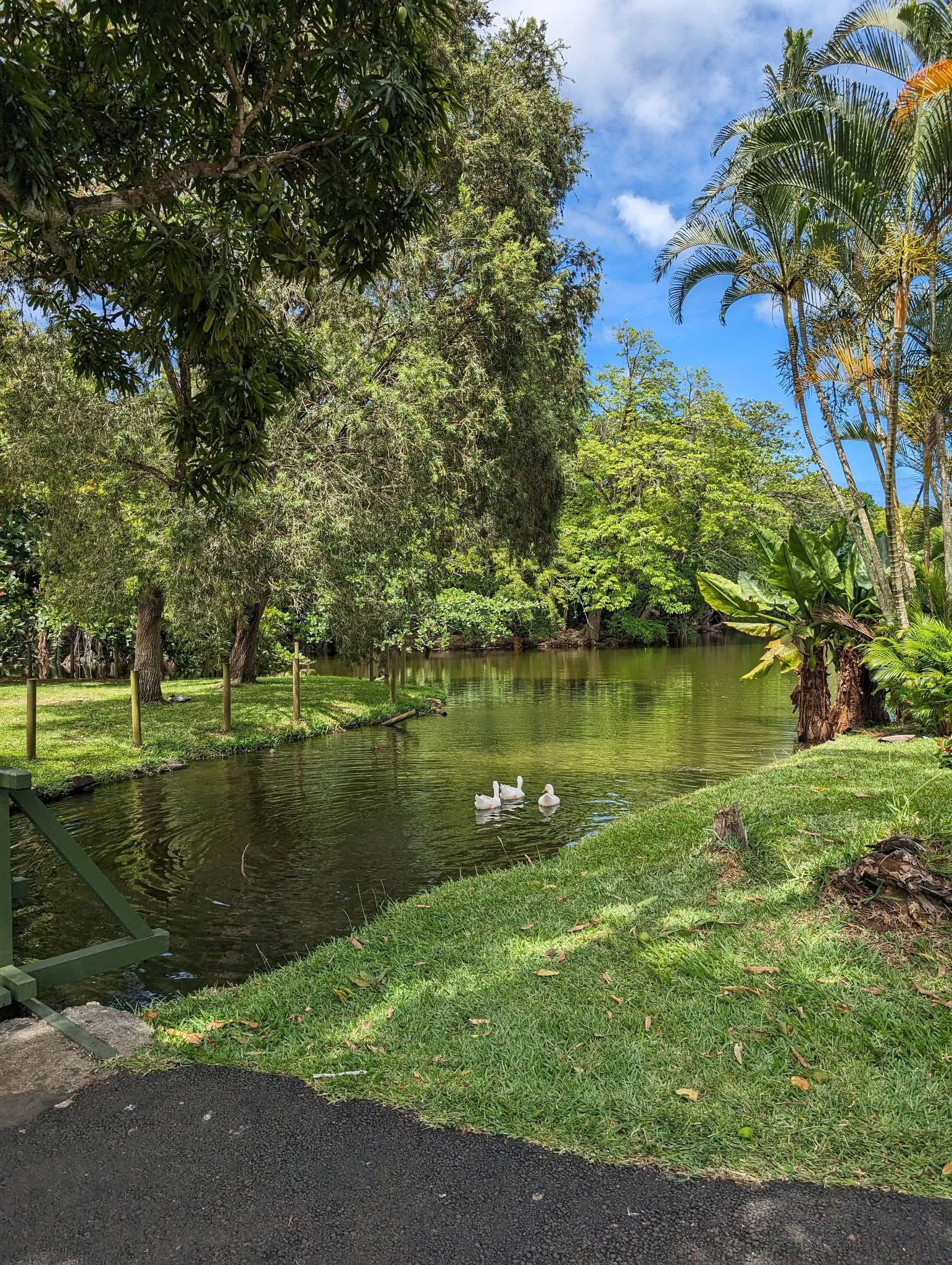 Jardin botanique de Pamplemousses