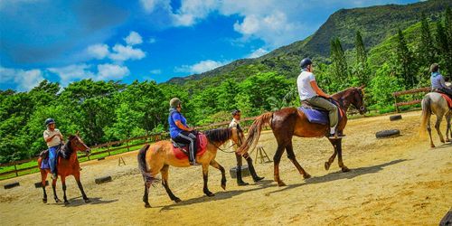 Blue Safari Submarine