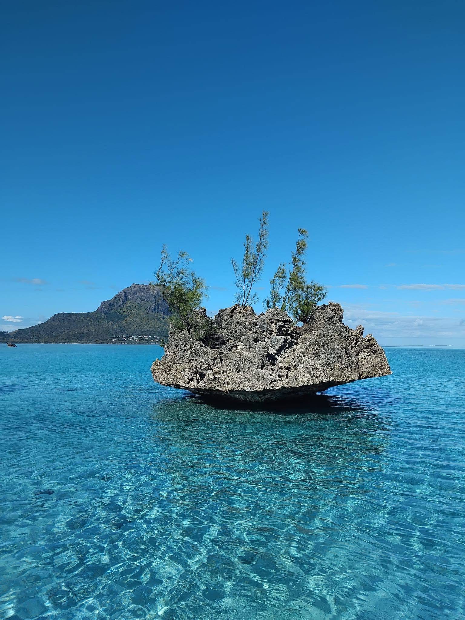 Dauphins et découverte du Sud