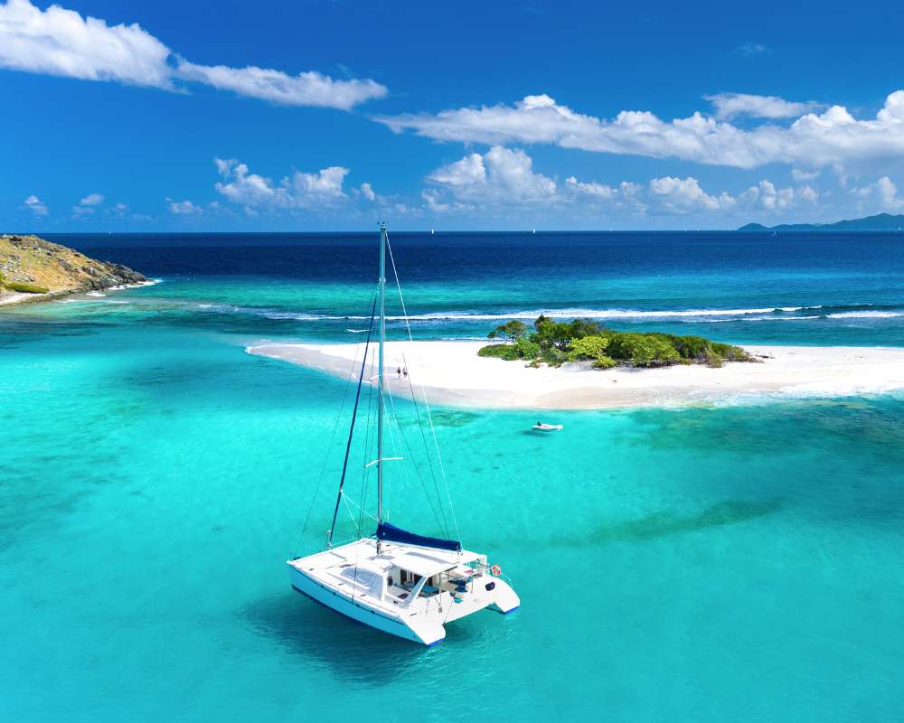 Catamaran Dolphin Swim