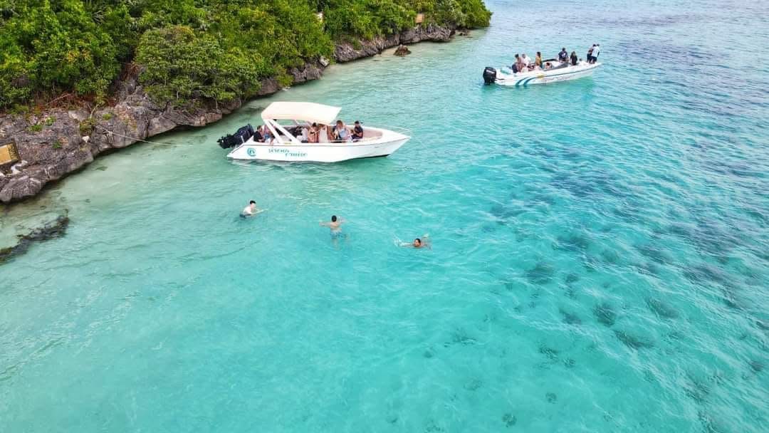 Dauphins, Crystal Rock et Île aux Bénitiers