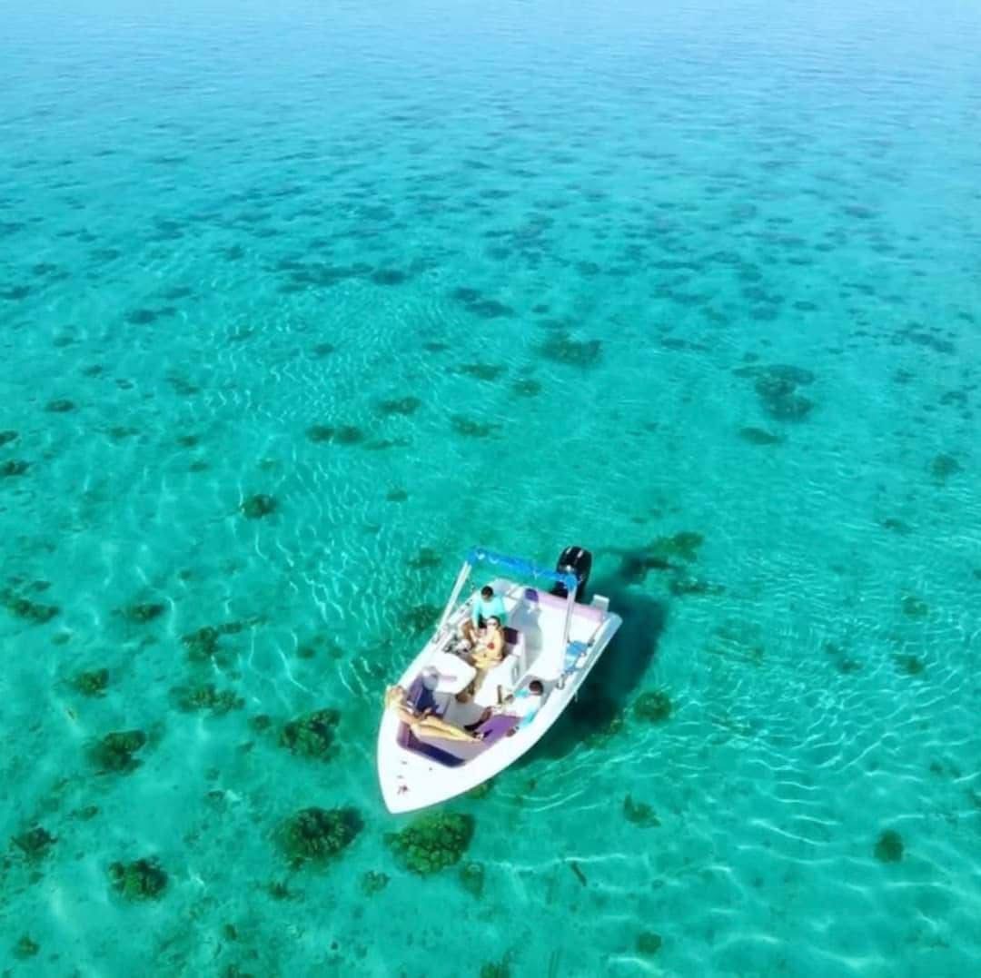 Île aux Cerfs et cascade GRSE en bateau rapide