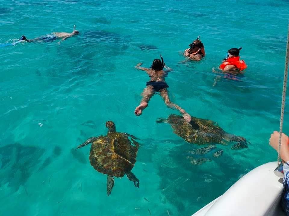 Île aux Cerfs et cascade GRSE en bateau rapide