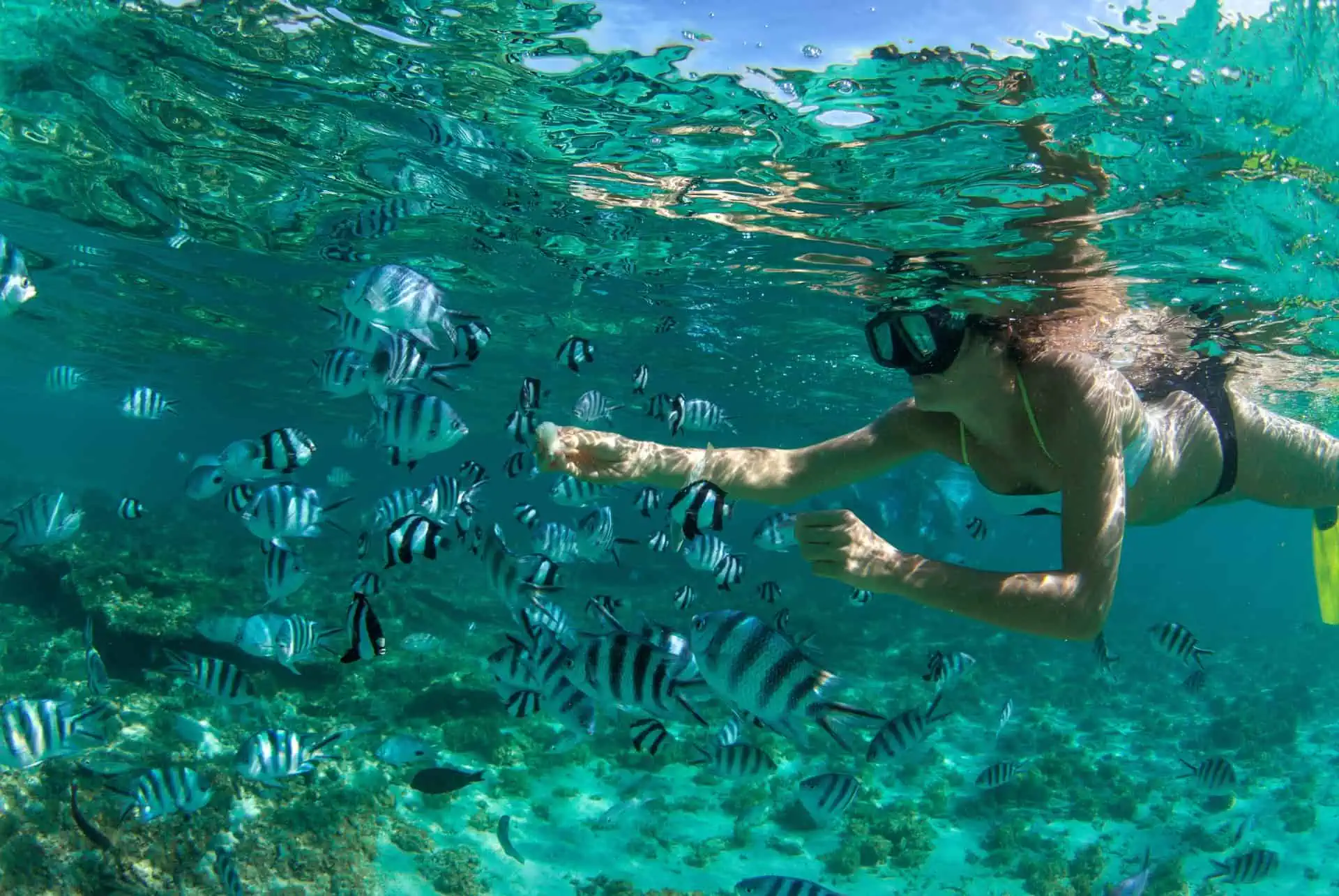 Snorkelling at Blue Bay Marine Park