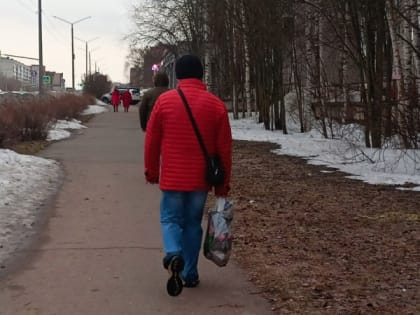 Кировские метеорологи объявили главную причину аномально теплой зимы