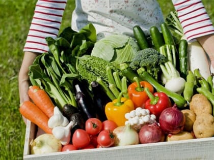 Кировский инноватор расскажет про систему урожайного сада