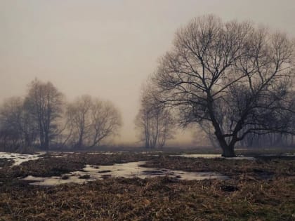 С каждым днем все теплее