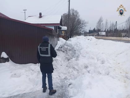 Школьника из Кировской области завалило снегом