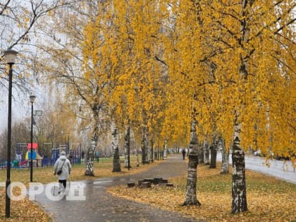 Прогноз погоды в Кирово-Чепецке на конец октября