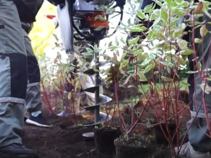 Новое исследование: воздействие стресса на здоровье человека