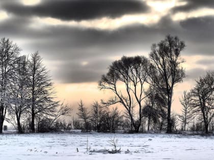 Холодный день в ноябре