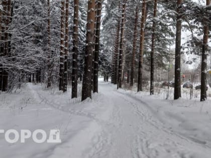 Морозные дни: какой будет погода в Кирово-Чепецке 17-19 февраля