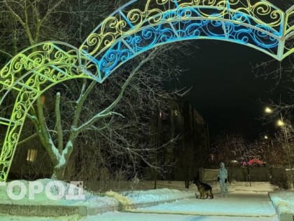 Плюсовая температура и дождь: какой будет погода в Кирово-Чепецке 27-29 января
