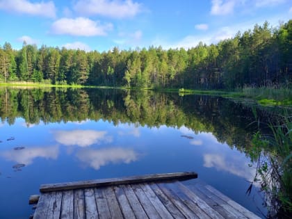 В каких водоёмах области не стоит купаться?