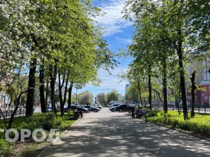 Жара до +29 °C: какой будет погода в Кирове в начале недели 10-12 июня