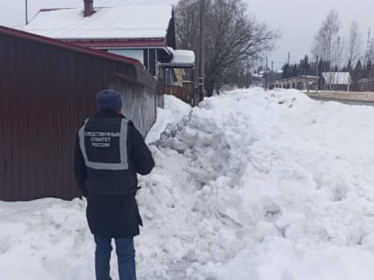 В Нагорском районе на 8-летнего школьника с крыши упала снежная масса