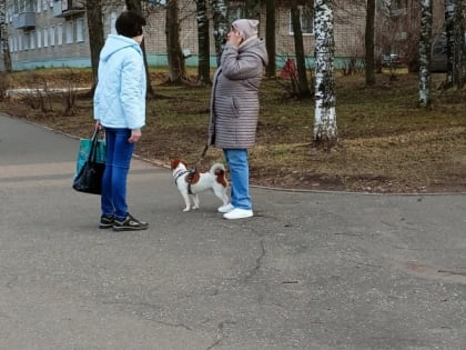 Дождь со снегом и до -3°C: какой будет погода в Кирово-Чепецке 6-8 мая