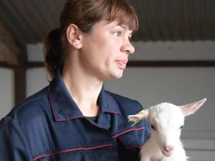 В Кировской области вводятся подъемные для молодых ветеринаров