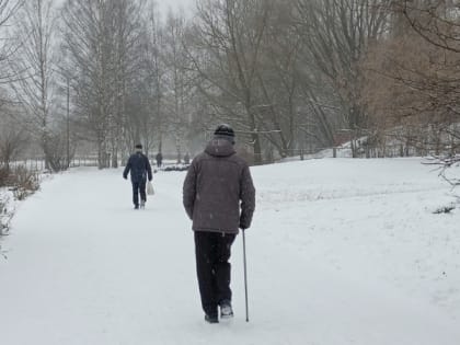 С января-2025 пенсии начнут приходить в другое время - большой сюрприз для пенсионеров