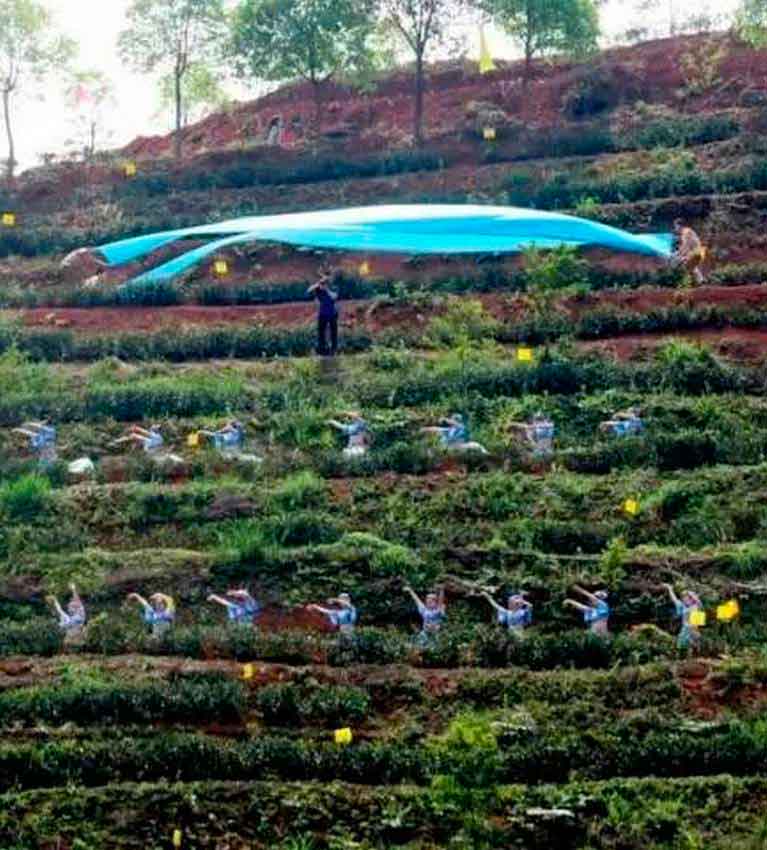 Сладкая мелодия высокого огня.