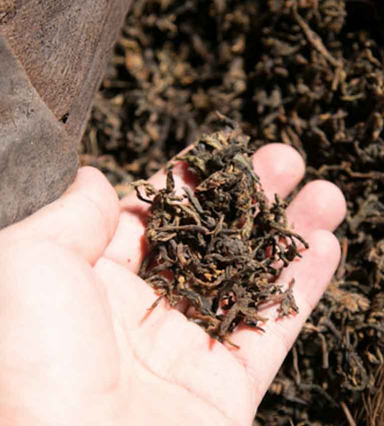 Секрет приготовления Шу Пуэра