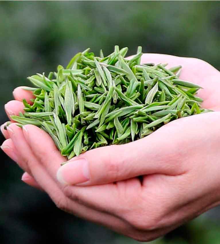 Незаслуженно забытый Мэн Дин Гань Лу