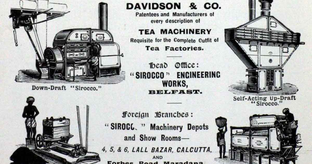 Из всемирной истории чая. Самуэль Клиленд Дэвидсон. Появление чайных машин