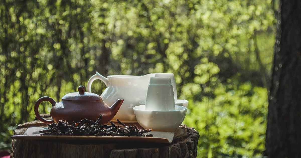 Чайная культура глазами современных китайцев