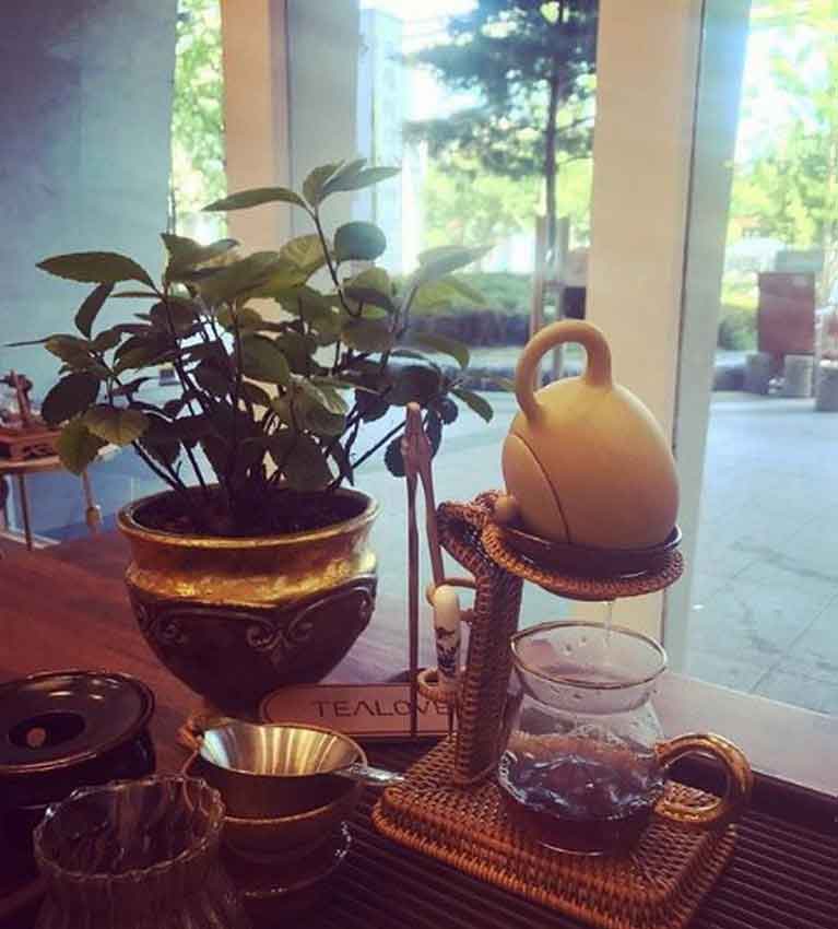 Ду Яо Ча 毒药茶