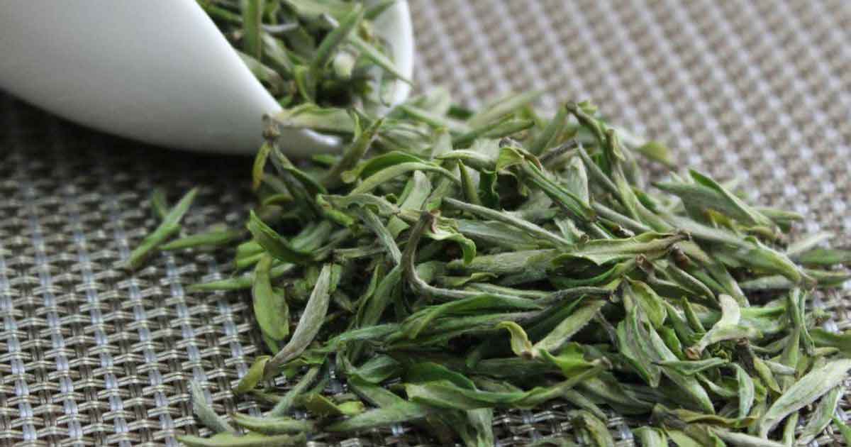 Хуан Шань Мао Фэн (Huangshan Maofeng, 黄山毛峰)