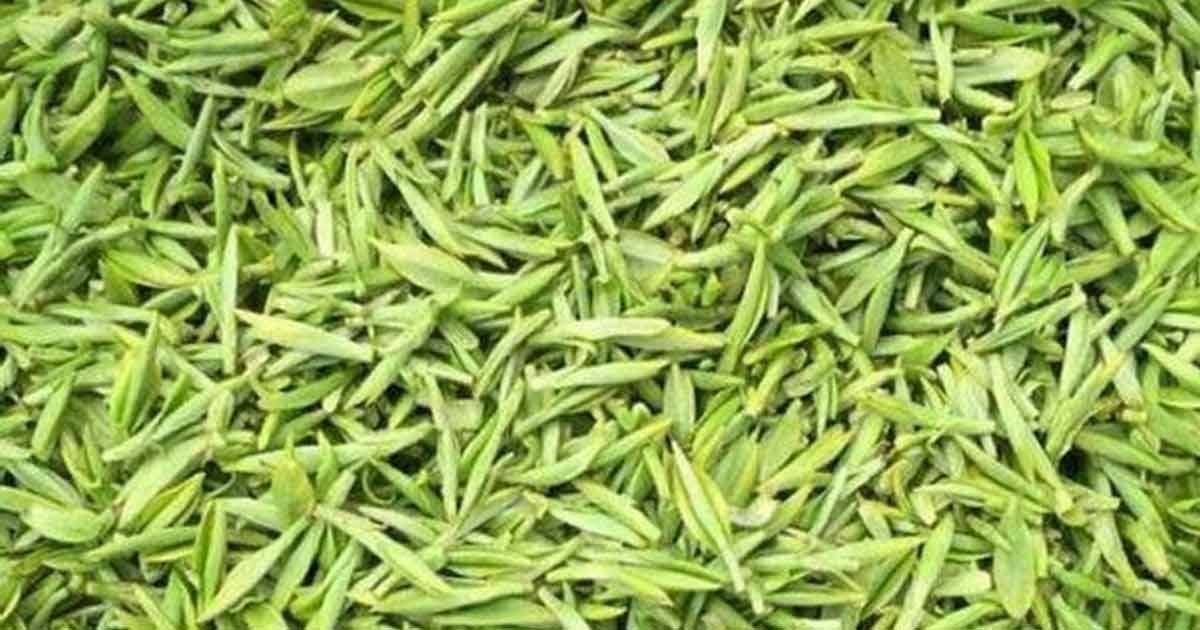 Хуан Шань Мао Фэн (Huangshan Maofeng, 黄山毛峰)