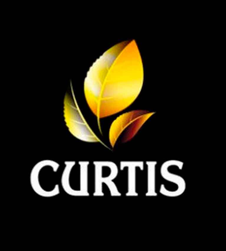 Уникальные вкусы чая CURTIS