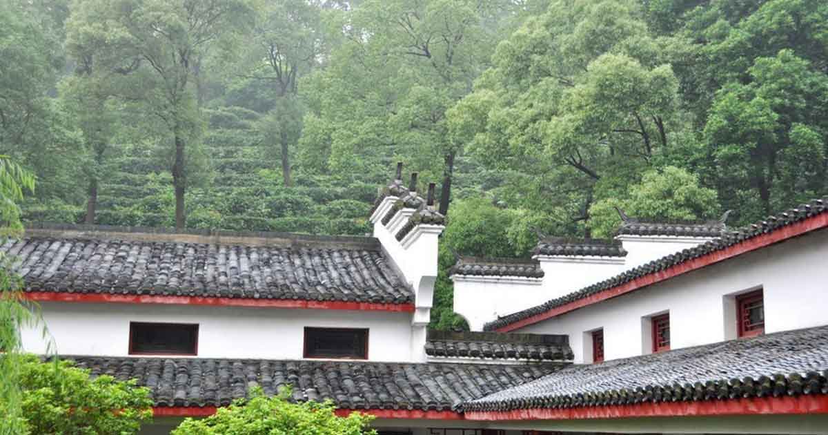 Единственная чайная мануфактура на острове Цзюньшань Дао