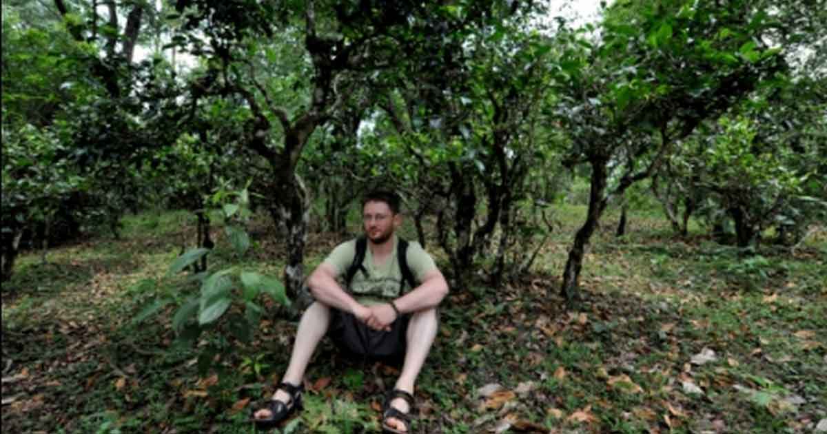 Под старыми деревьями на Цзинь Май Шань