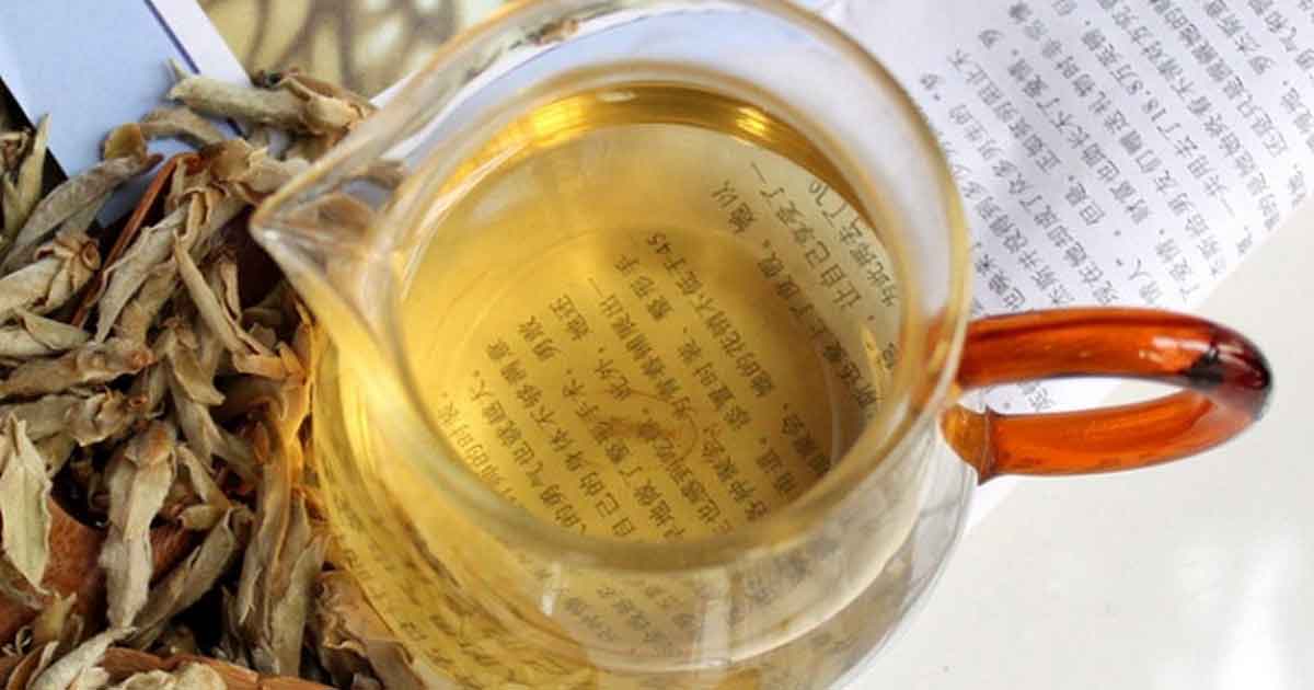 Почки пуэра или Почки со старых деревьев или Лаошу Ябао