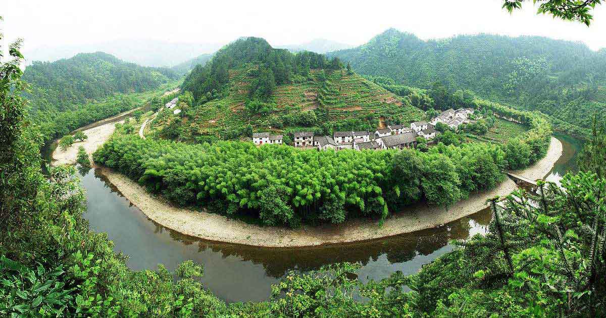 Сюнин Сунло (休宁松萝)