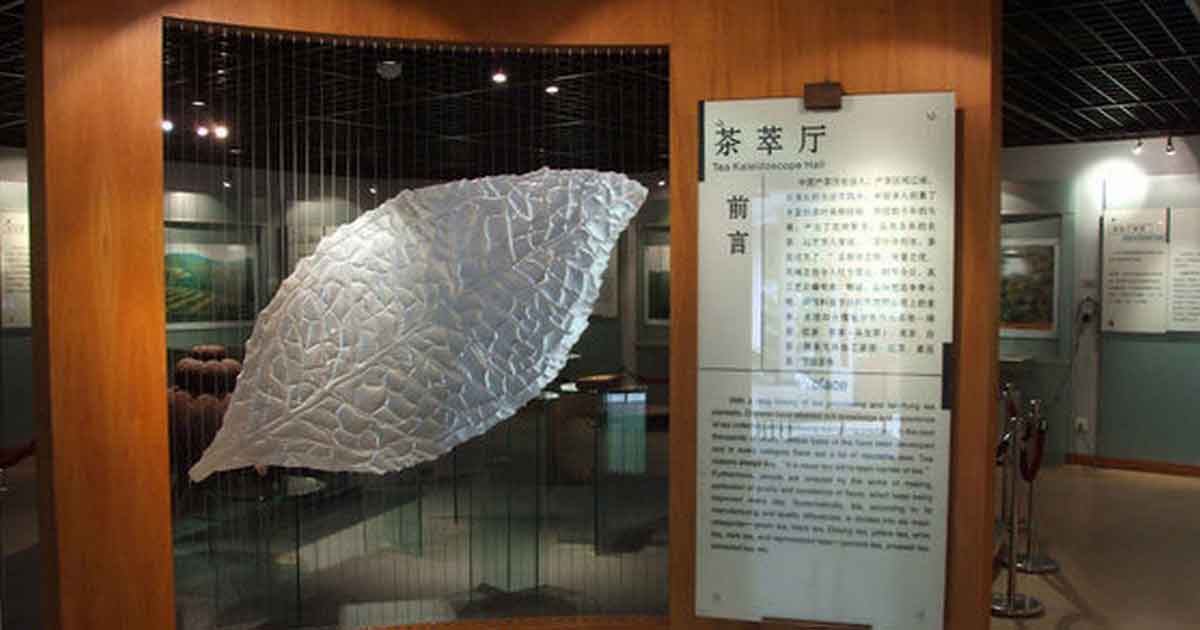 Музей чая зал Избранное