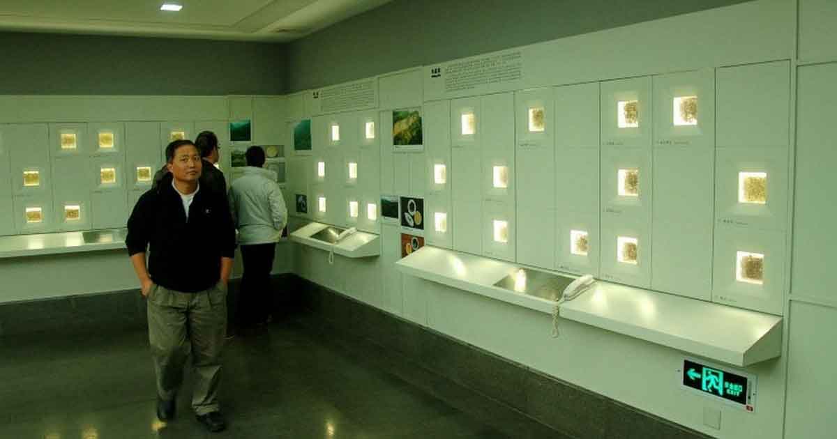 Музей чая за Избранное